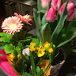 traceybaumgarner avatar