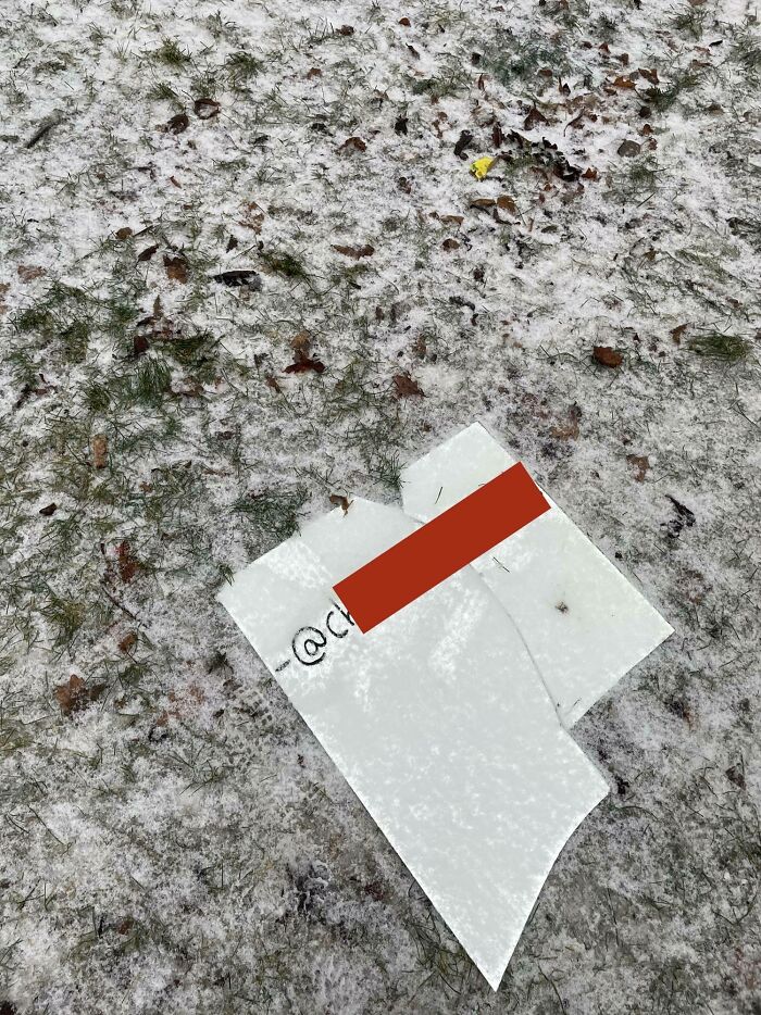 Advertising Your Bands Insta By Putting Loose Mirrors In Busy Public Parks Right Where People Walk Their Dogs