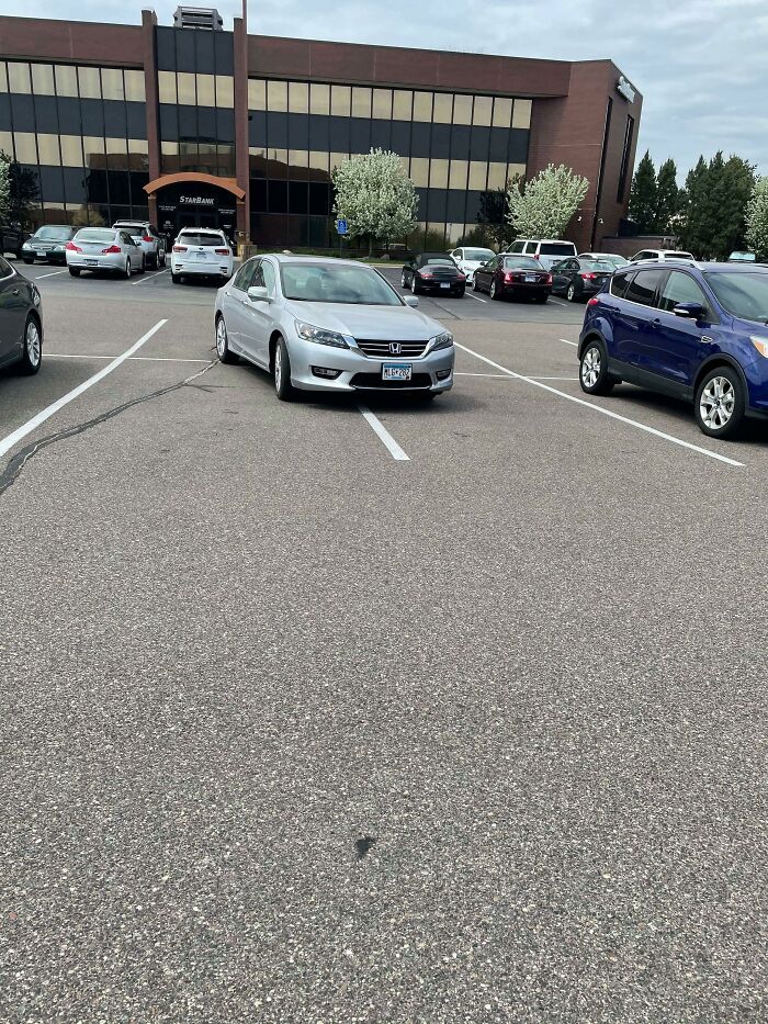 A Friend / Side Character In My Life Sent Me This, He Said “For Your Subreddit” Which I Won’t Argue With Him All Day About That. But Here, The Work Of An Obvious Mc In The Wild