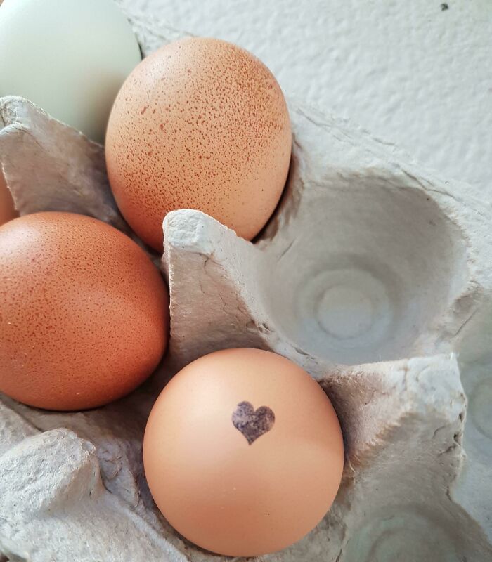 The Local Farm Occasionally Puts A Heart Stamp On The Eggs They Sell, And We Got One! (Hoping Actual Eggs Are Allowed Here)