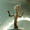 spencergunnell avatar