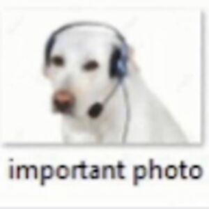 javiernavarrete avatar