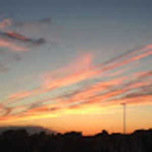 ryanbradbury-weaver avatar