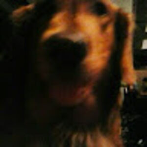 mariannegriffin avatar