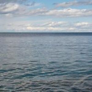 bookworm12138 avatar