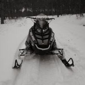 wehavetwodogs avatar