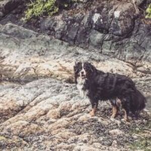 jdanderson1024 avatar