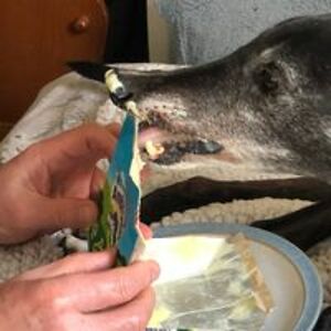 commander_ivanova avatar