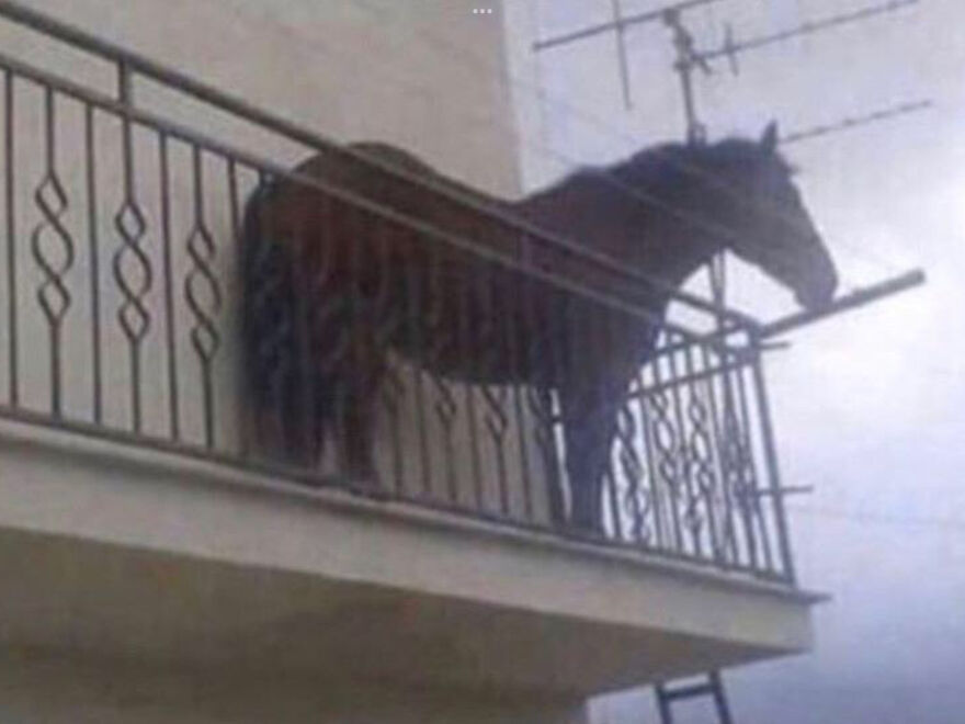 I Found 24 Of The Funniest And Weird Cursed Images