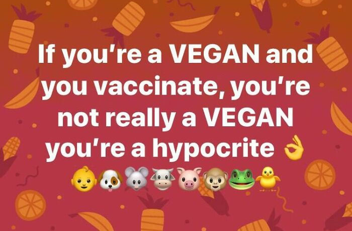 Hypocrites vs. Real Vegans