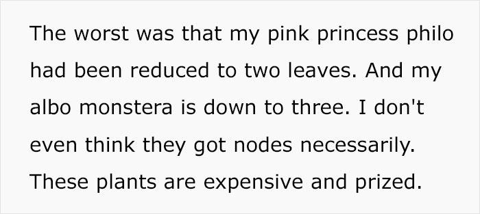 Woman Refuses To See Her Niece And Sister-In-Law After They Trim Her Houseplants And Sell The Cuttings On Marketplace Woman Refuses To See Her Niece And Sister-In-Law After They Trim Her Houseplants And Sell The Cuttings On Marketplace