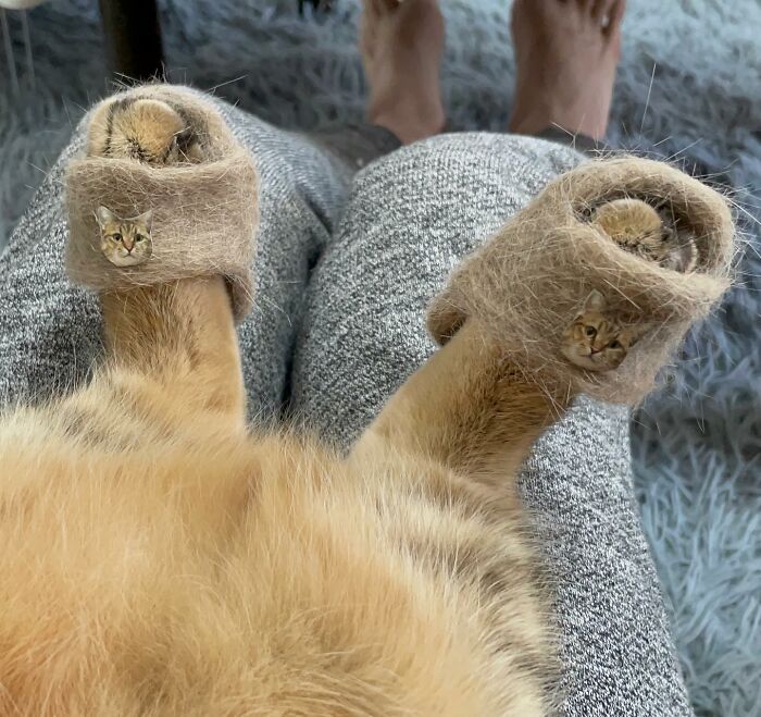 This Cat In Slippers Made From Its Own Fur Is Going Viral