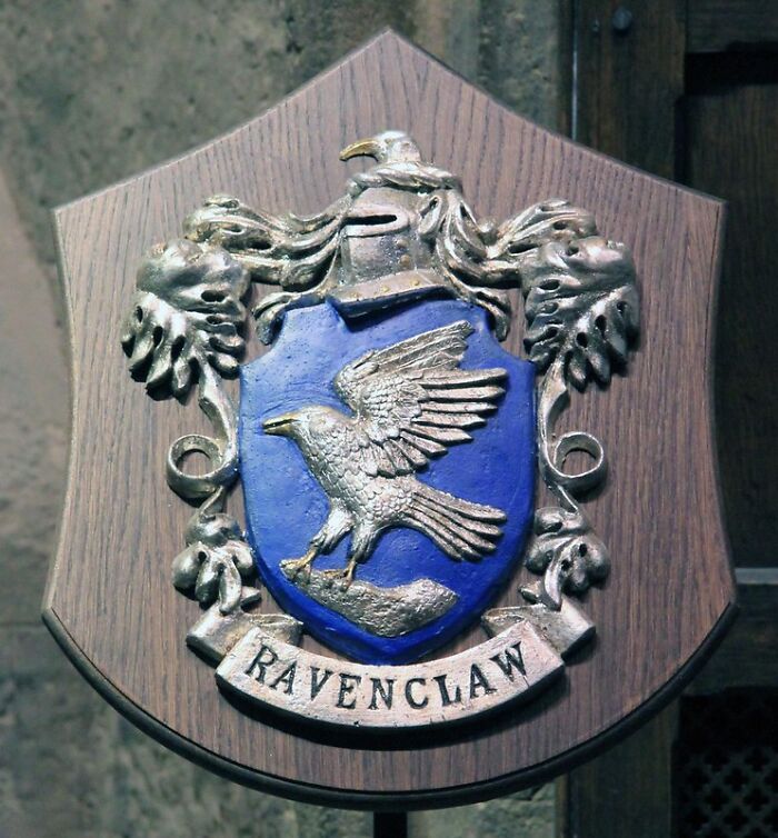 Gryffindor Were Not The Chosen Ones, Ravenclaw Was