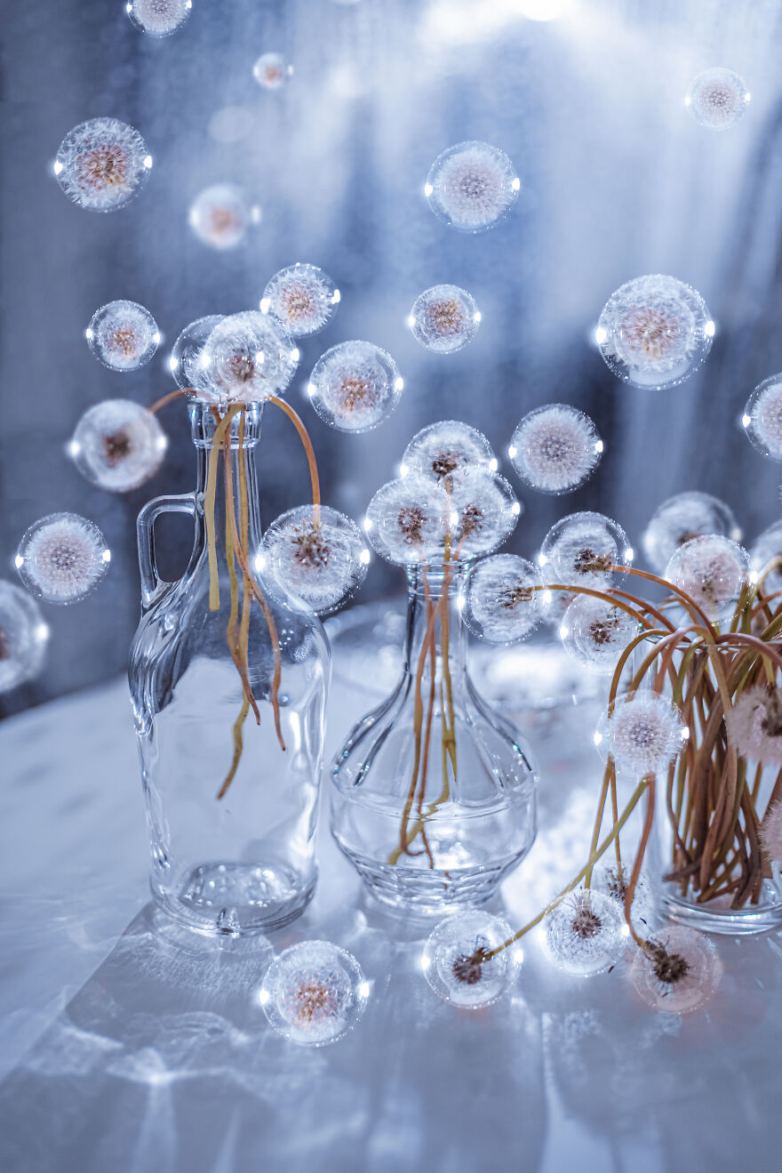 Dandelions And Bubbles Like Dreams In Lockdown