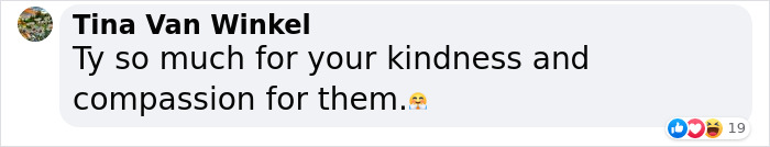 Man Drives 10 Kangaroos To Safety With His Van From A Zoo In Kharkiv That Suffered An Attack Man Drives 10 Kangaroos To Safety With His Van From A Zoo In Kharkiv That Suffered An Attack