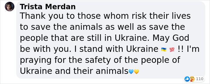 Man Drives 10 Kangaroos To Safety With His Van From A Zoo In Kharkiv That Suffered An Attack Man Drives 10 Kangaroos To Safety With His Van From A Zoo In Kharkiv That Suffered An Attack