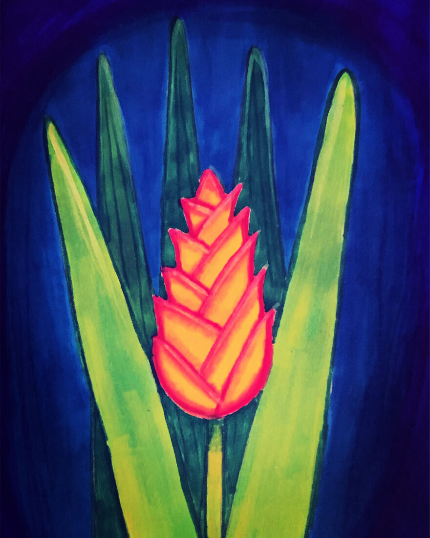 I Drew A Flower Every Day For A Year, And Here Are 40 Of My Best Works