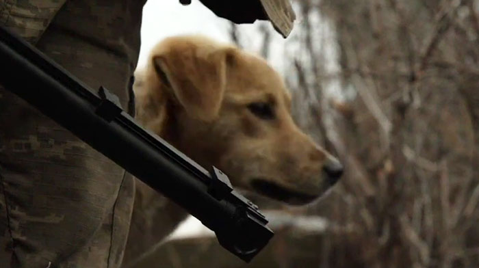 Este cachorro rescatado por soldados ucranianos se convierte en un fiel perro guardián