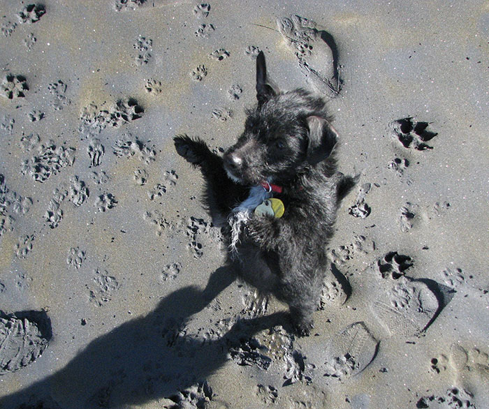 30 Unexplainable Situations That Happened In Broad Daylight And Caught People Off Guard, As Shared By Folks Online