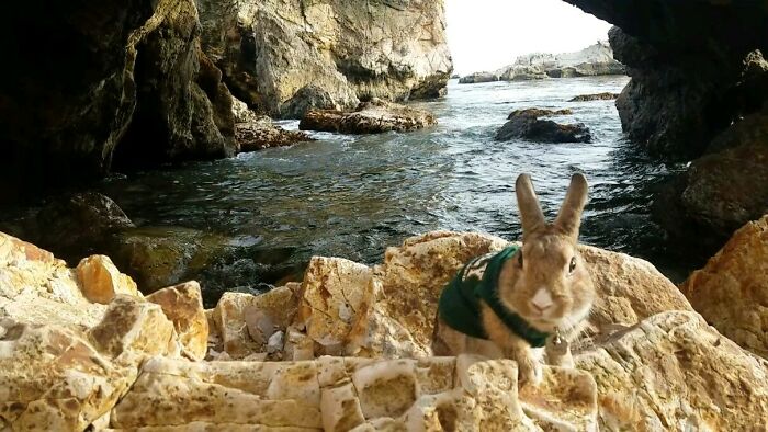 Pirate’s Cove Beach (Avila Beach) In San Luis Obispo