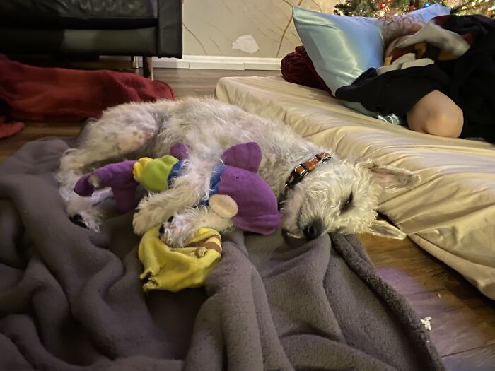 Sleeping On The Job.