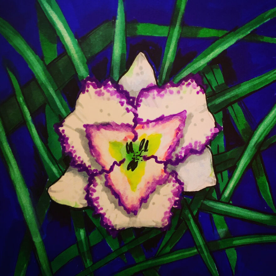 I Drew A Flower Every Day For A Year, And Here Are 40 Of My Best Works