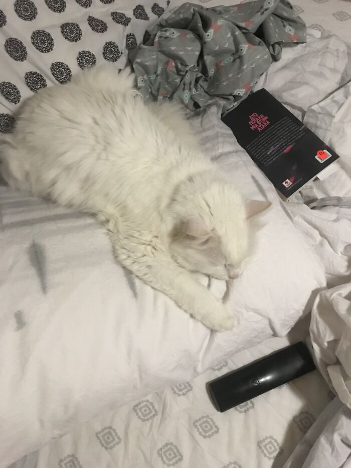 My Friend Said He Looks Like He Fell Asleep While Reaching For The Remote