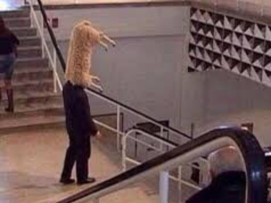 I Found 24 Of The Funniest And Weird Cursed Images I Found 24 Of The Funniest And Weird Cursed Images