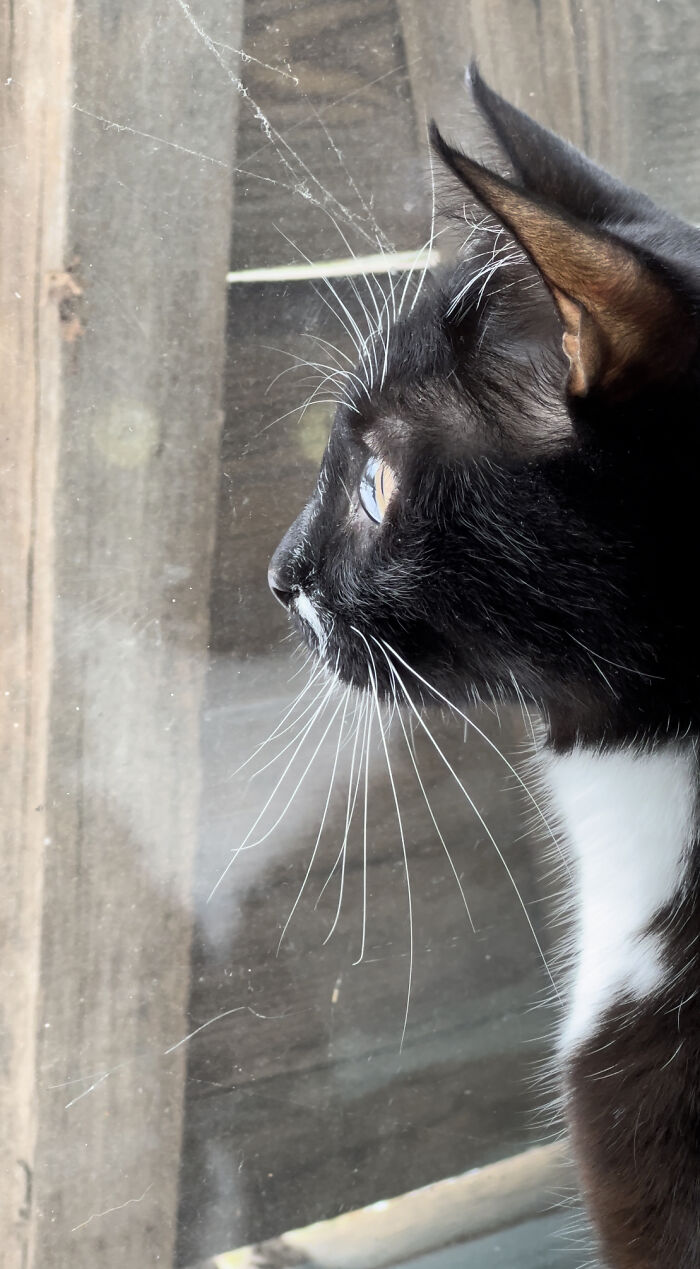 "7 Days Ago Everything Changed": This Is What It's Like To Live In The Kyiv Bomb Shelter When You’re A Cat "7 Days Ago Everything Changed": This Is What It's Like To Live In The Kyiv Bomb Shelter When You’re A Cat