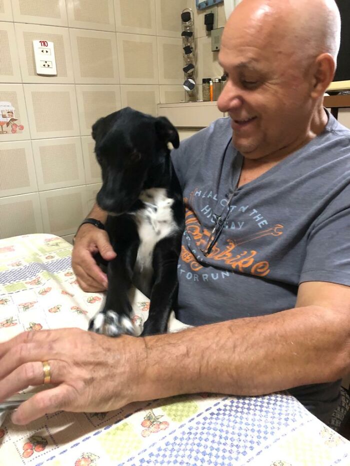 Home Camera Caught This Owner And Dog's Adorable Nighttime Routine, And The Video Of It Went Viral Home Camera Caught This Owner And Dog's Adorable Nighttime Routine, And The Video Of It Went Viral