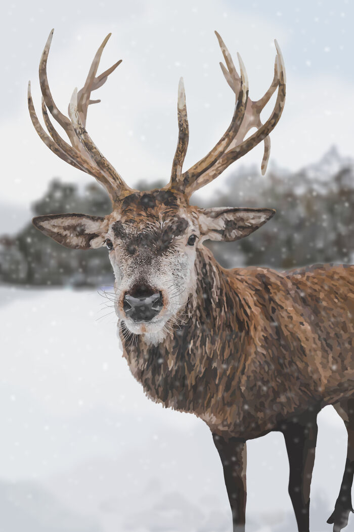 Animals, Wildlife And Nature Illustrations (9 Pics)