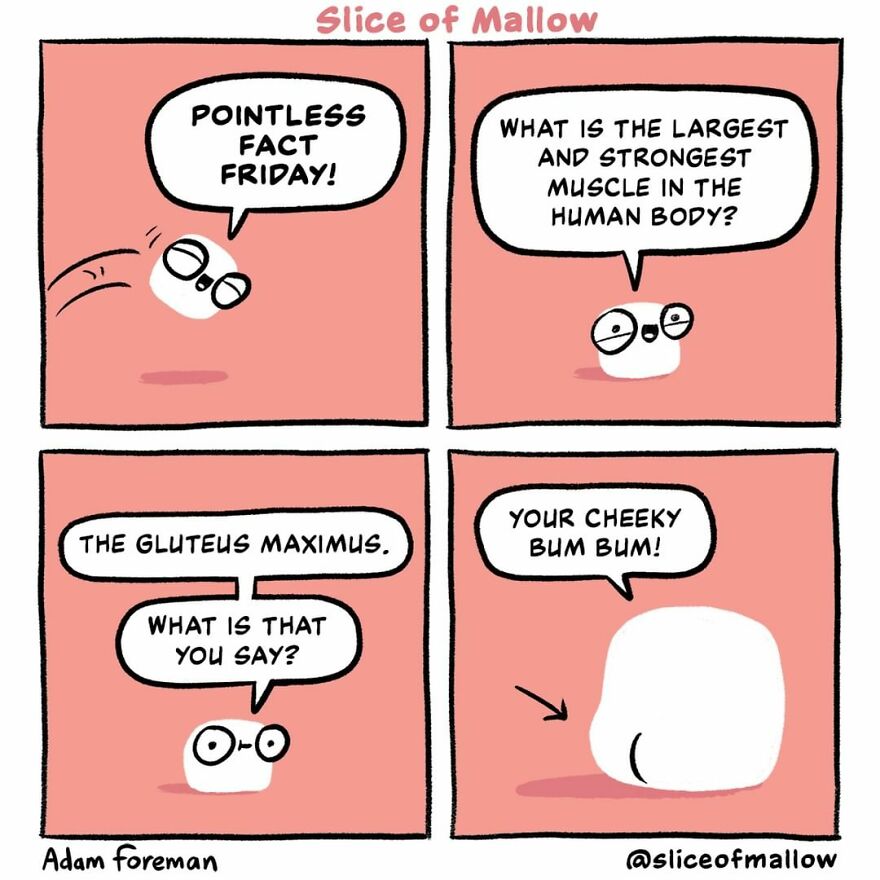 Artist Brings Marshmallows To Life In Very Fun And Relatable Comics