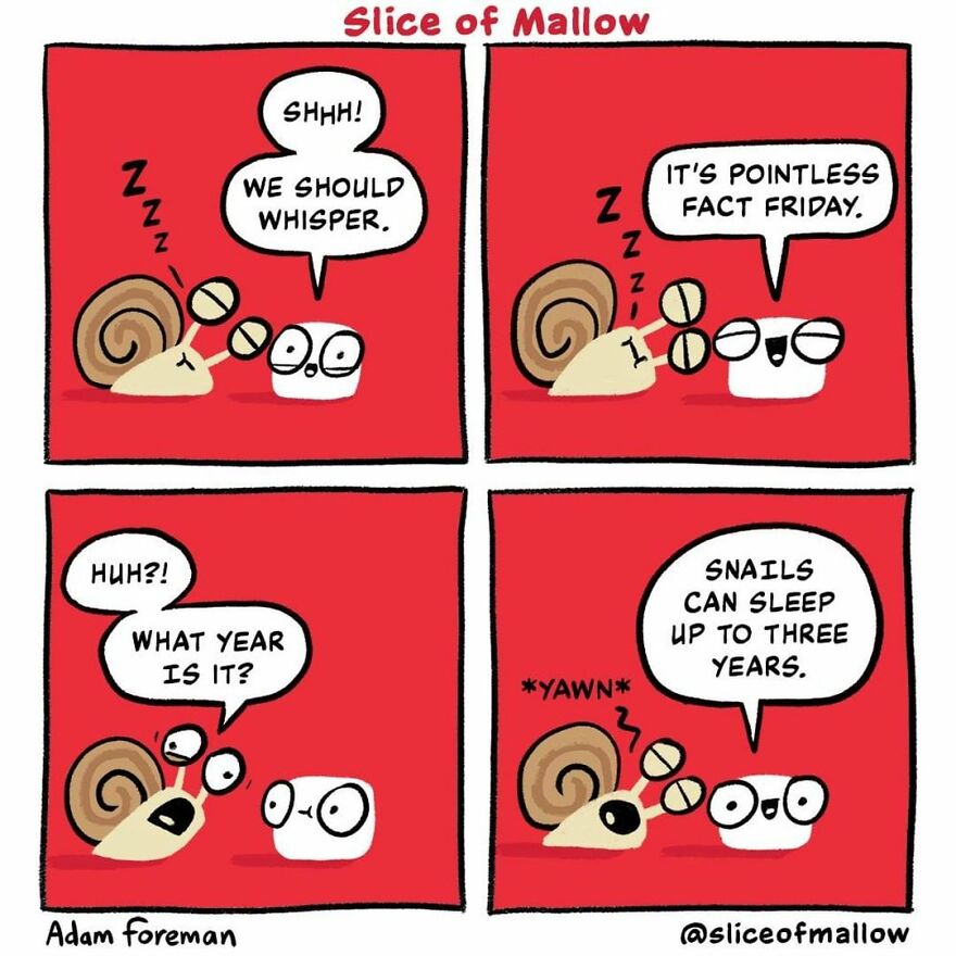 Artist Brings Marshmallows To Life In Very Fun And Relatable Comics