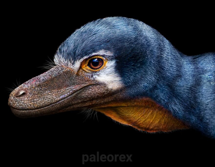 Close-up of an extinct animal illustration showing detailed skin texture and feathers, highlighting extinct animals in real life.