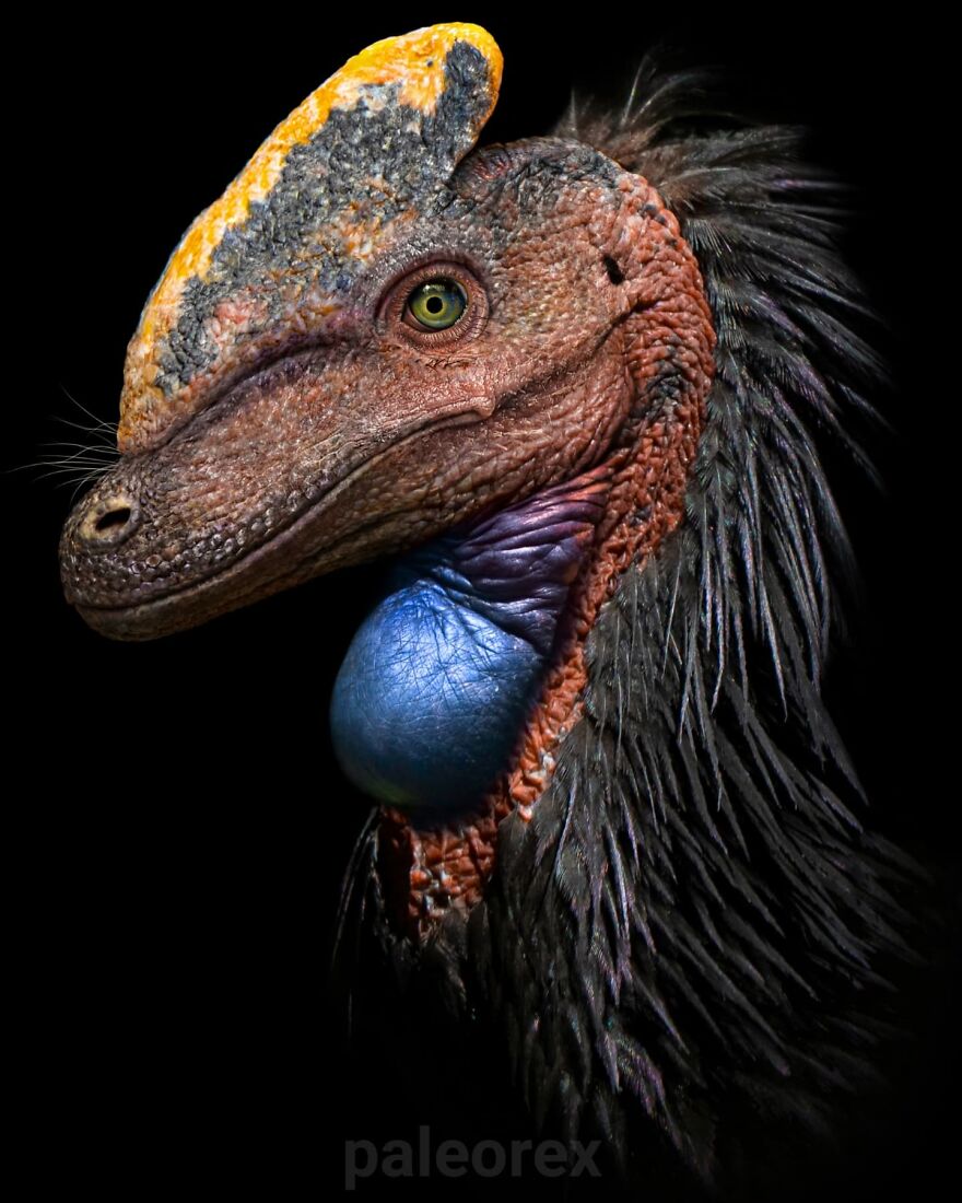 Detailed illustration showing how extinct animals might’ve looked in real life with realistic textures and colors.