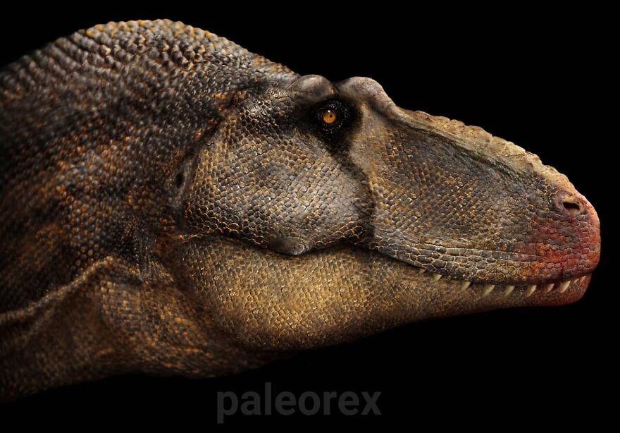 Tarbosaurus