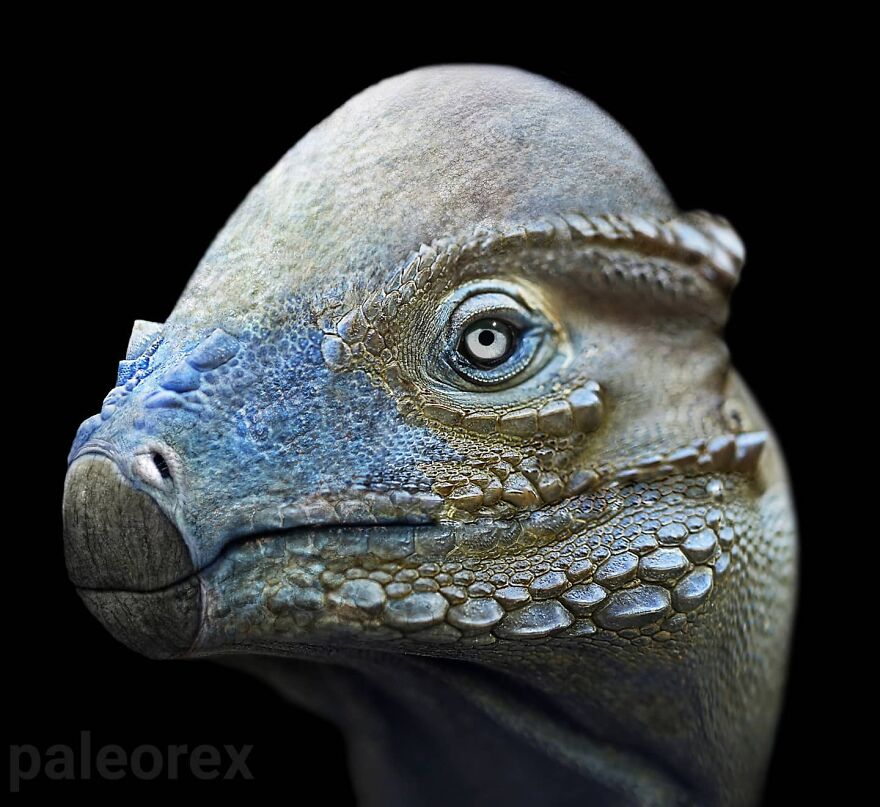 Realistic illustration of an extinct animal showing detailed skin texture and lifelike features in digital art style