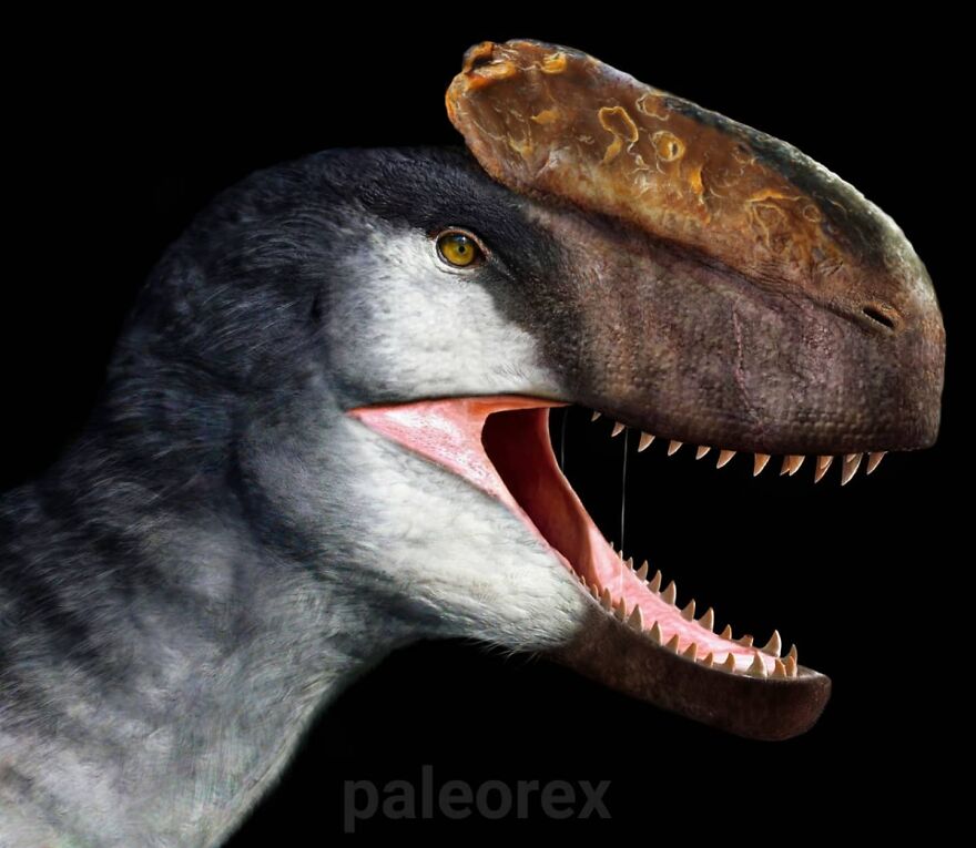 Monolophosaurus