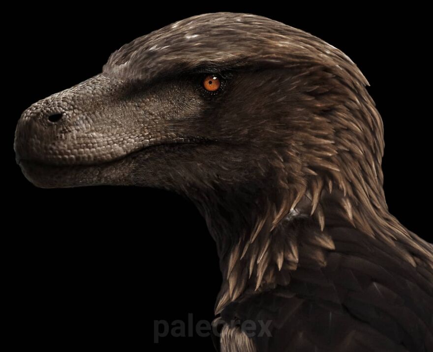 Realistic illustration of an extinct animal combining reptile and bird features shown in profile on black background
