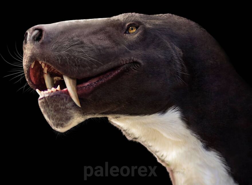 Detailed illustration of an extinct animal showing how prehistoric creatures might have looked in real life.