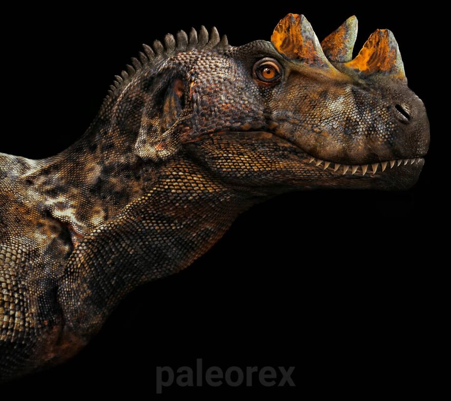 Ceratosaurus