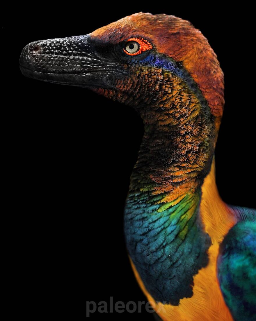 Colorful detailed illustration of an extinct animal showing how these creatures might have looked in real life.