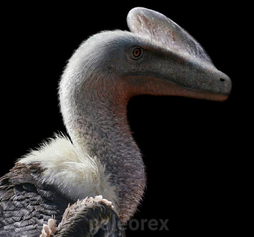 Guanlong
