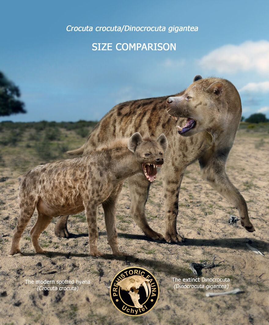 Artist Continues To Make Comparisons Between The Sizes Of Prehistoric Animals And Their Modern Relatives (20 New Pics)