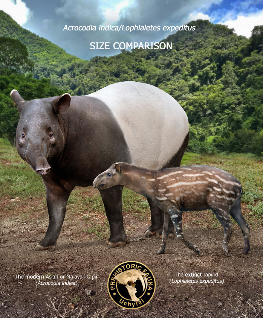 Artist Continues To Make Comparisons Between The Sizes Of Prehistoric Animals And Their Modern Relatives (20 New Pics)