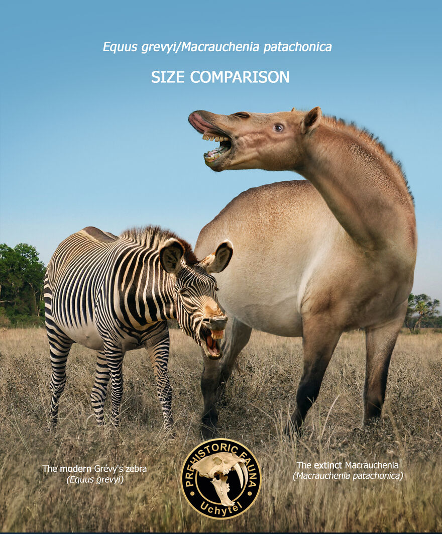 Artist Continues To Make Comparisons Between The Sizes Of Prehistoric Animals And Their Modern Relatives (20 New Pics)