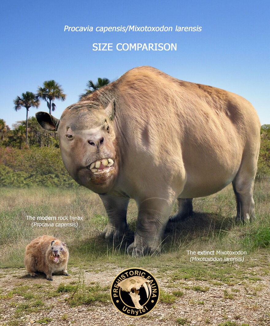 Artist Continues To Make Comparisons Between The Sizes Of Prehistoric Animals And Their Modern Relatives (20 New Pics)