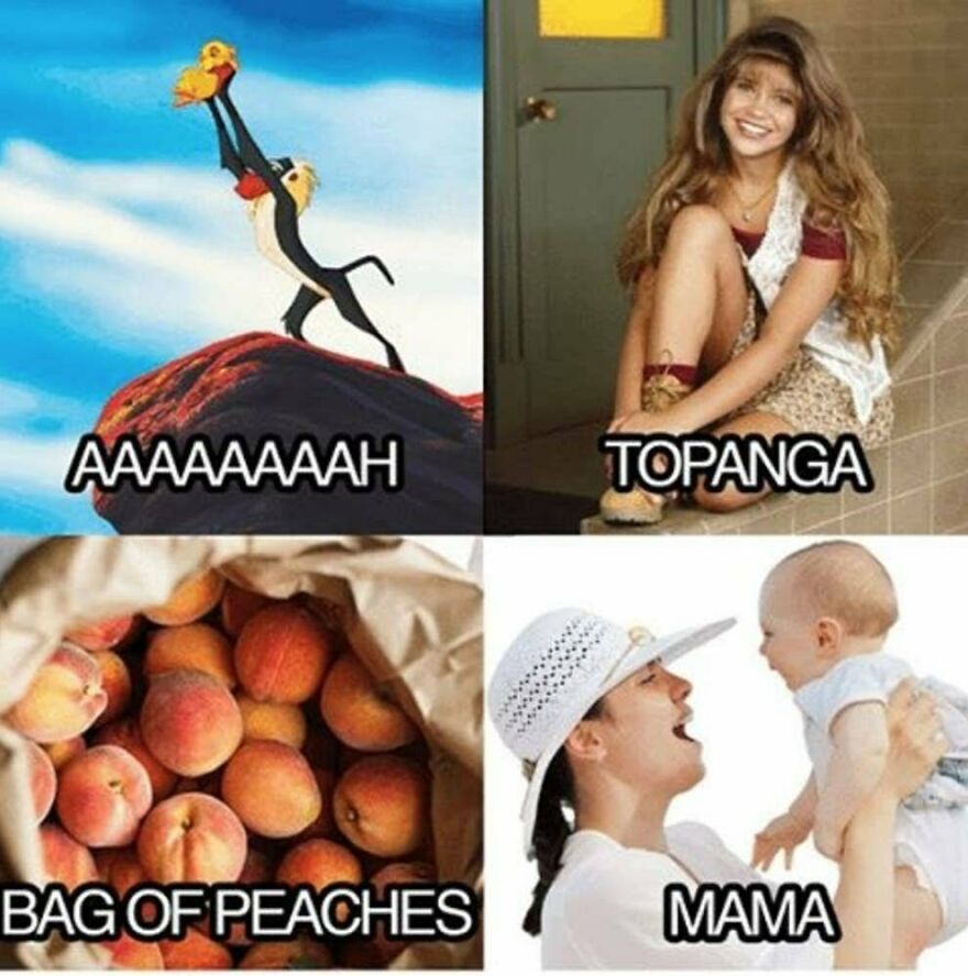 Disney Memes That Will Even Make Maleficent Laugh Out Loud Disney Memes That Will Even Make Maleficent Laugh Out Loud