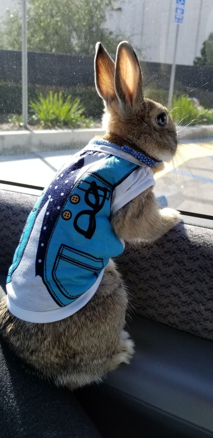 “Houston, We Have A Problem”