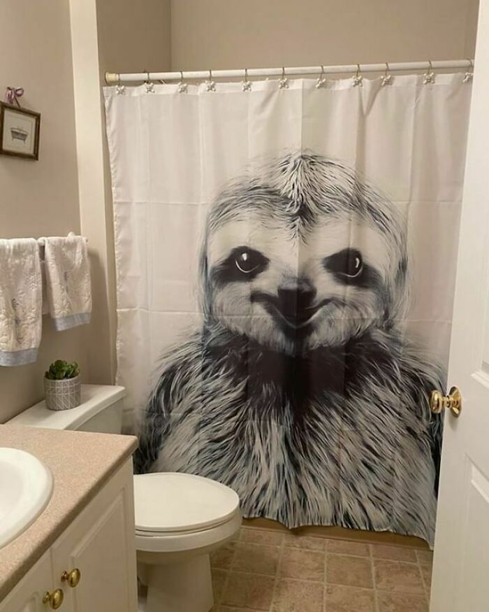 Any Sloth Lovers In Here?